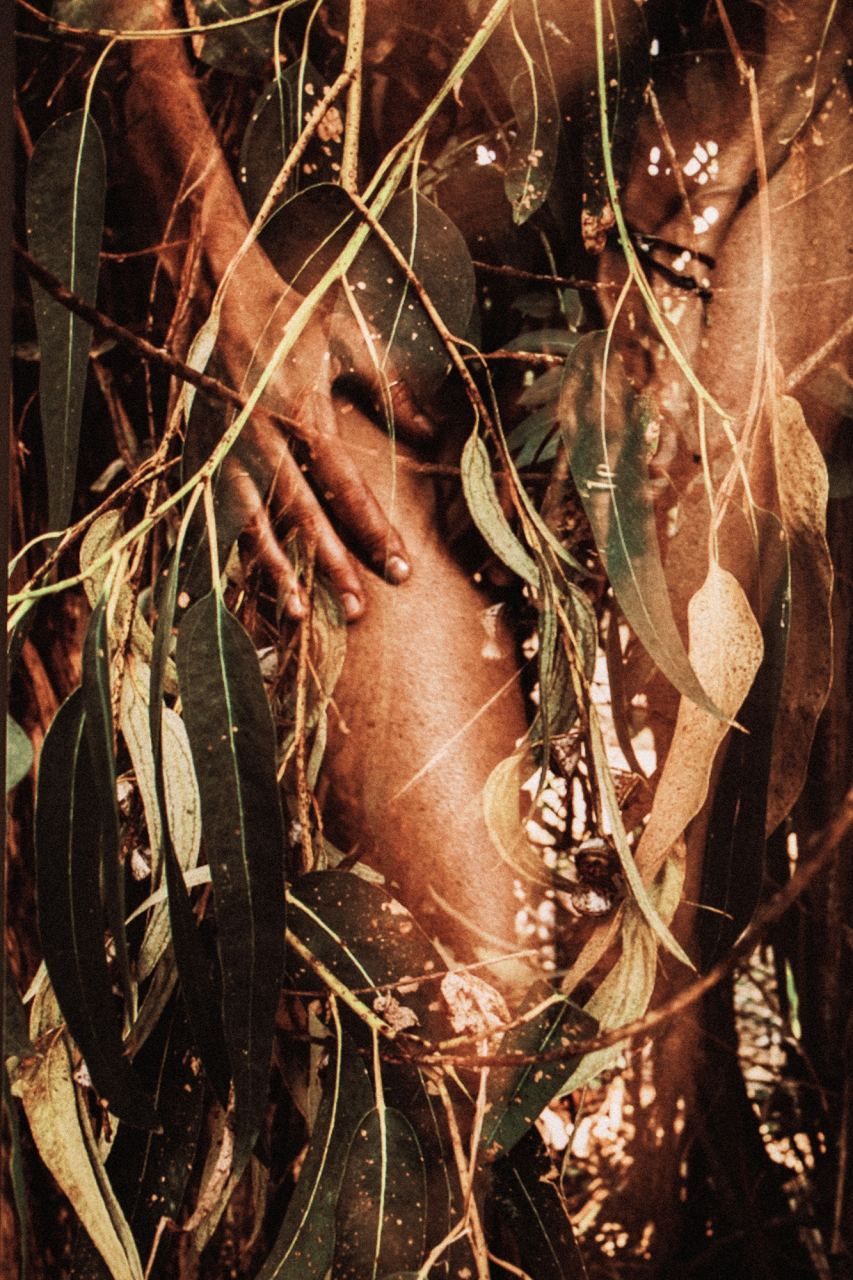 Corsica Meia — Fusioni — Laetitia Farellacci, fotografia 1 di 7
