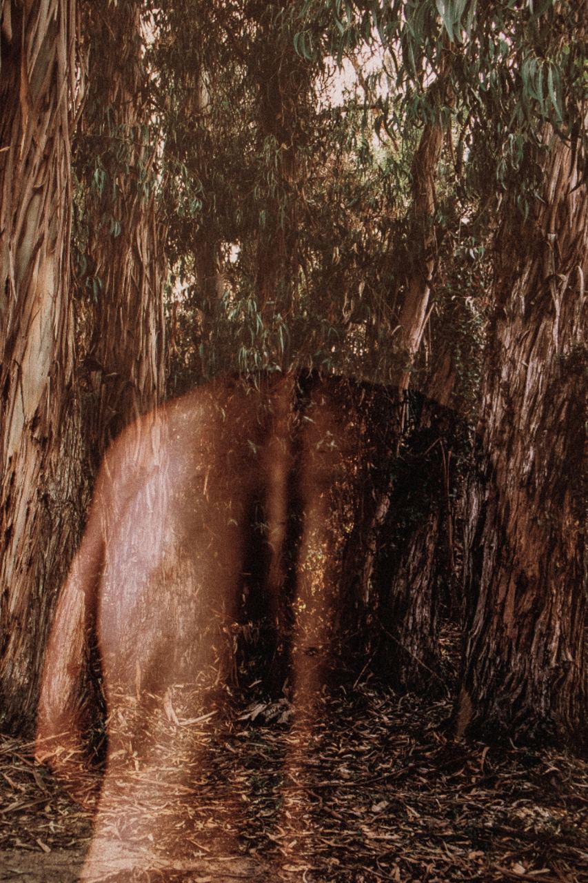 Corsica Meia — Fusioni — Laetitia Farellacci, fotografia 3 di 7