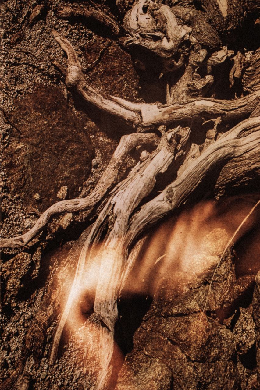 Corsica Meia — Fusioni — Laetitia Farellacci, fotografia 5 di 7