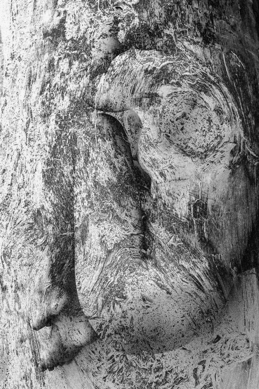 One — Laetitia Farellacci, fotografia 3 di 21