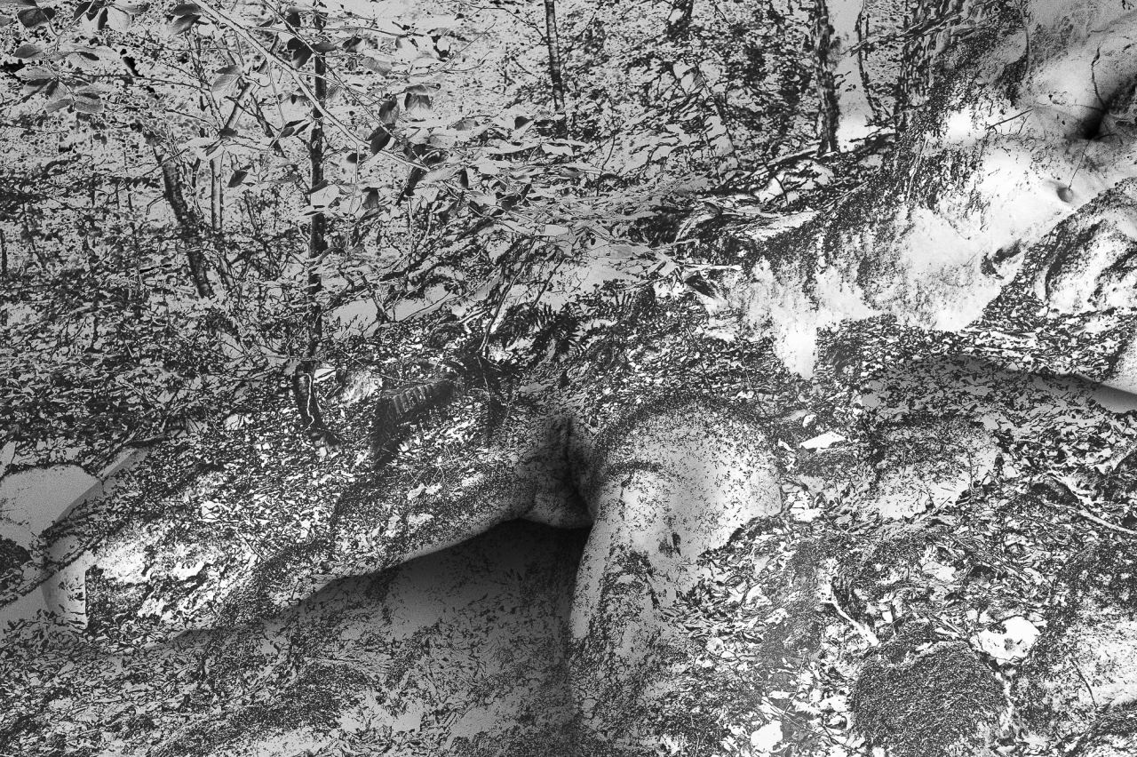One — Laetitia Farellacci, fotografia 4 di 21