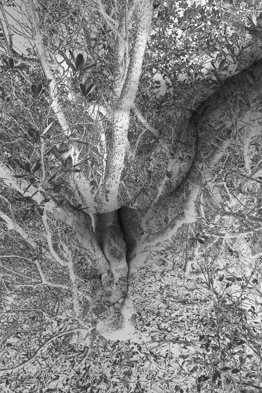One — Laetitia Farellacci, fotografia 6 di 21
