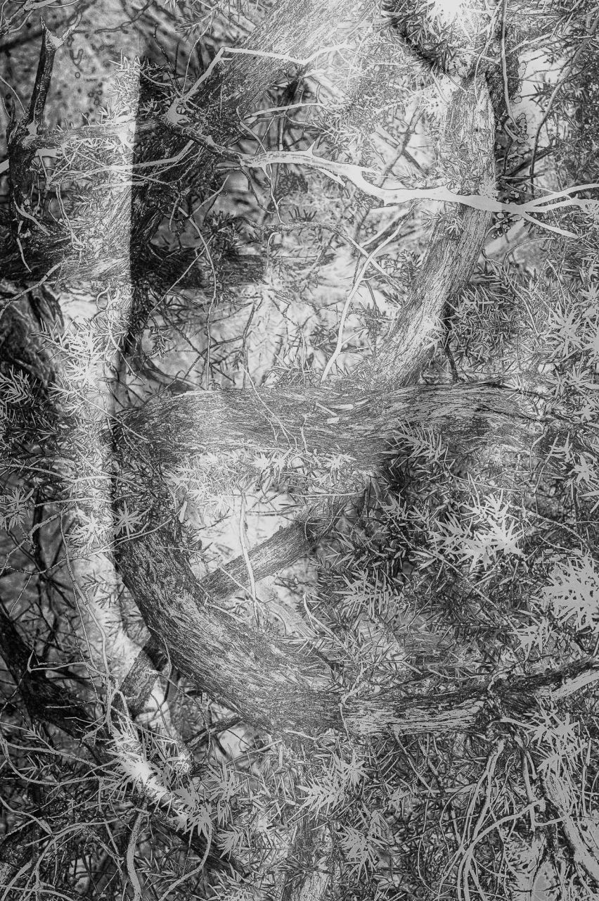 One — Laetitia Farellacci, fotografia 8 di 21