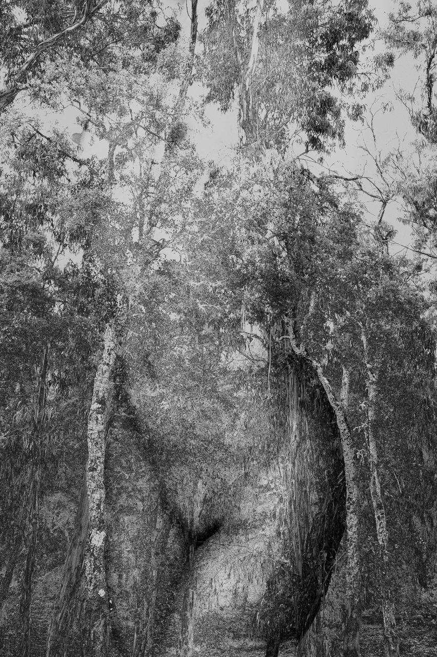 One — Laetitia Farellacci, fotografia 9 di 21