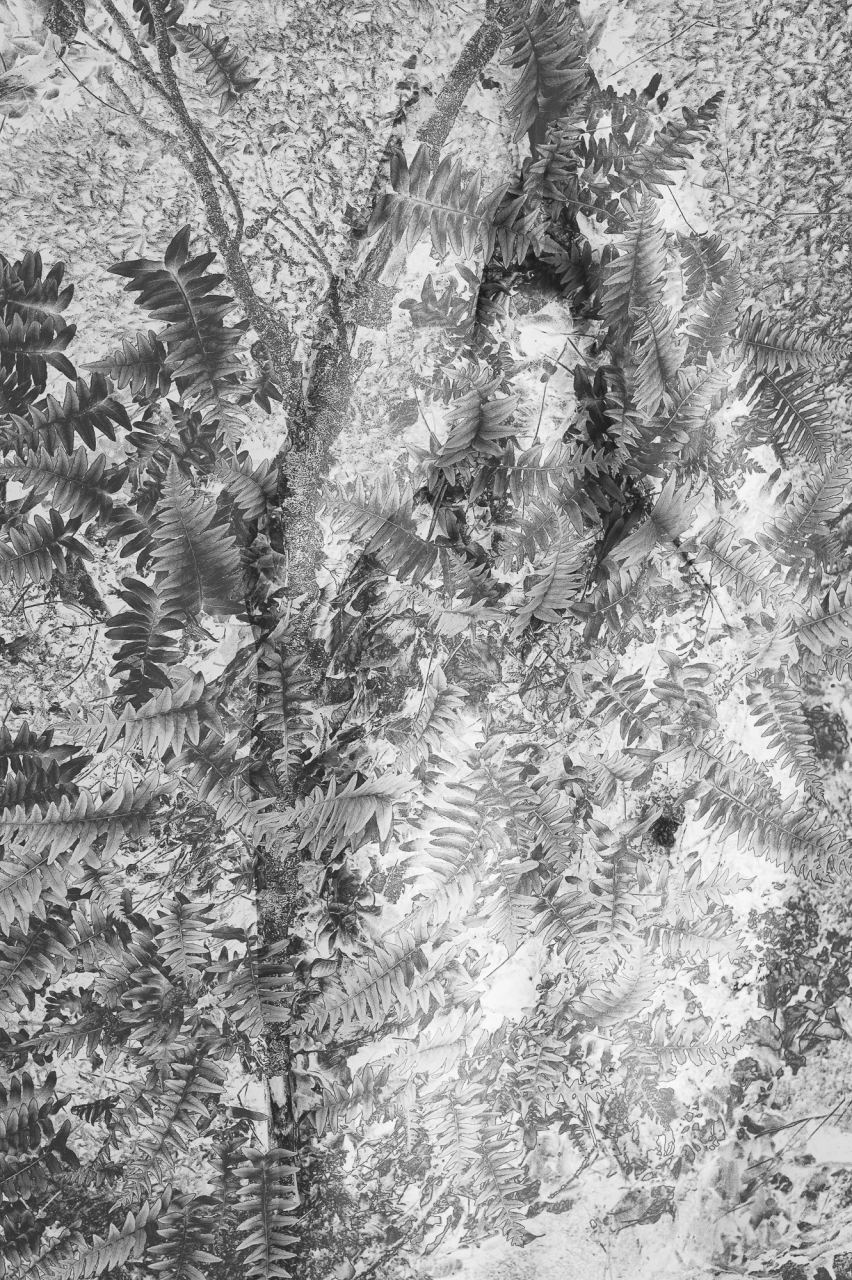 One — Laetitia Farellacci, fotografia 11 di 21