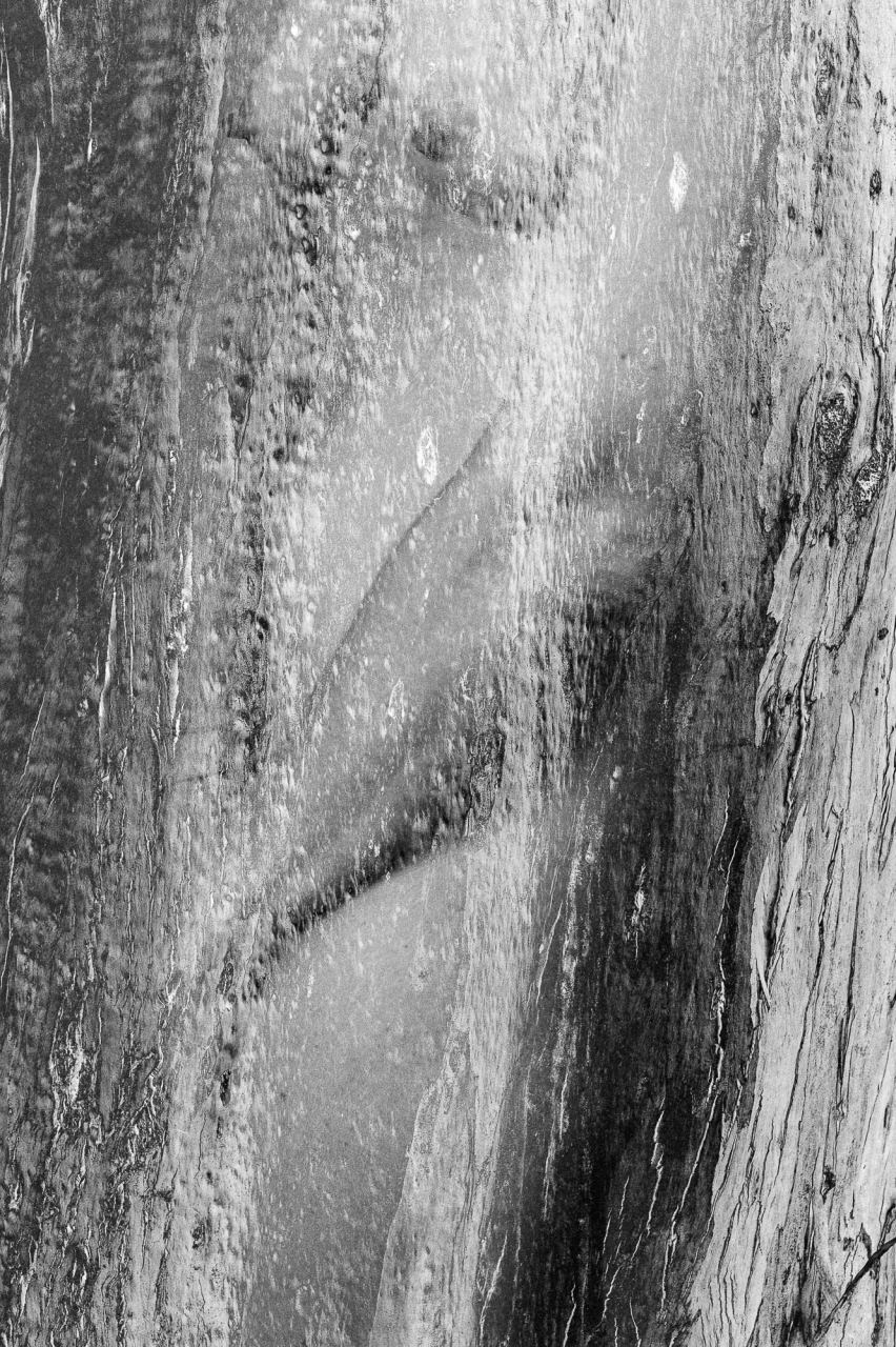 One — Laetitia Farellacci, fotografia 13 di 21