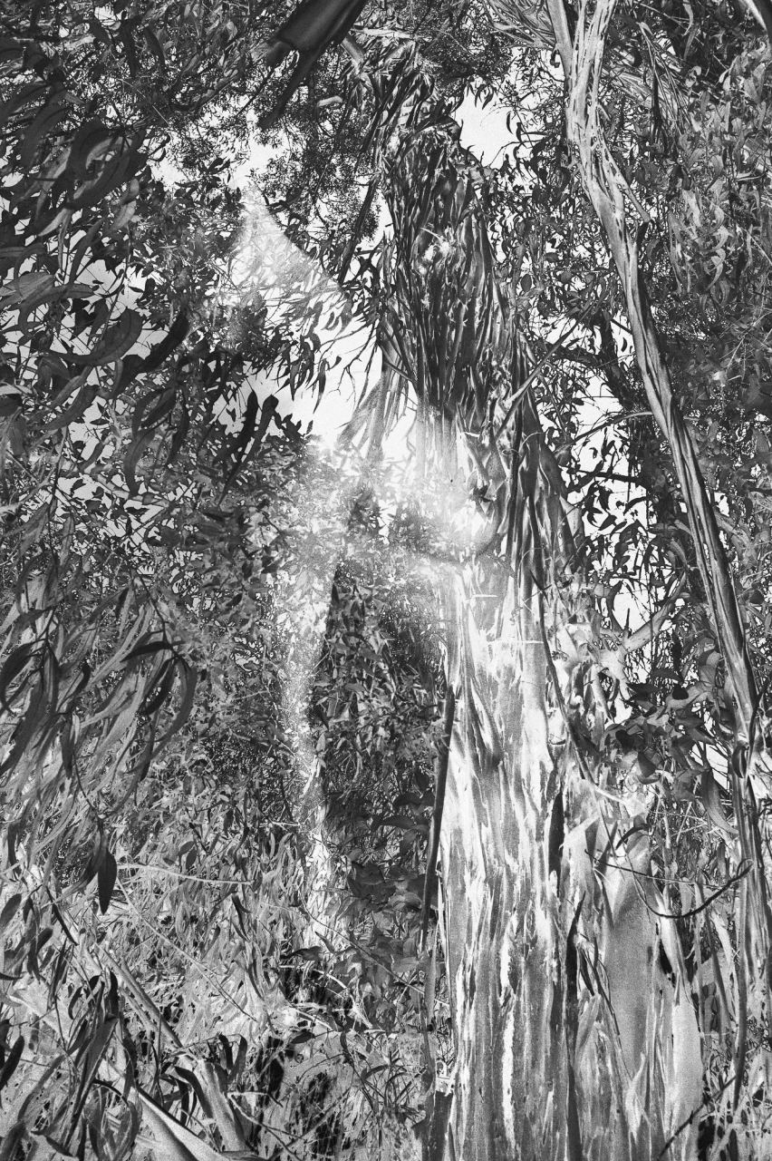 One — Laetitia Farellacci, fotografia 15 di 21