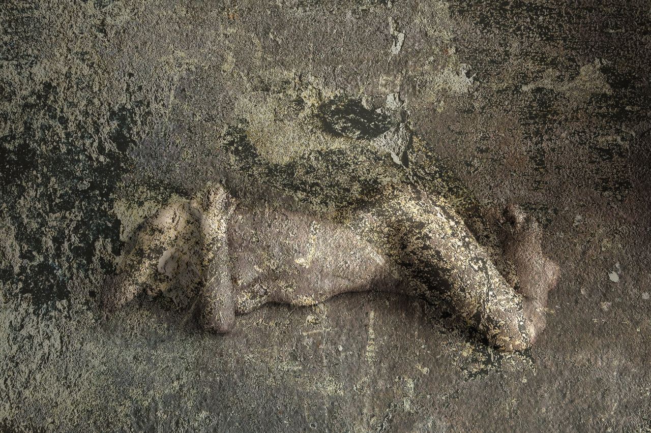 Panta Rei - orizzontalità transitoria — Laetitia Farellacci, fotografia 14 di 14