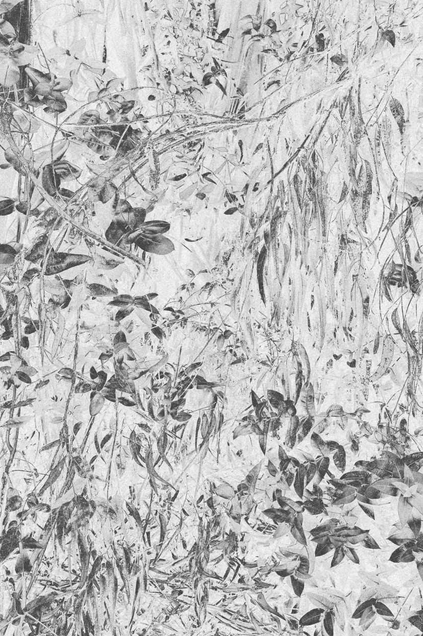 Roots — Laetitia Farellacci, fotografia 10 di 15