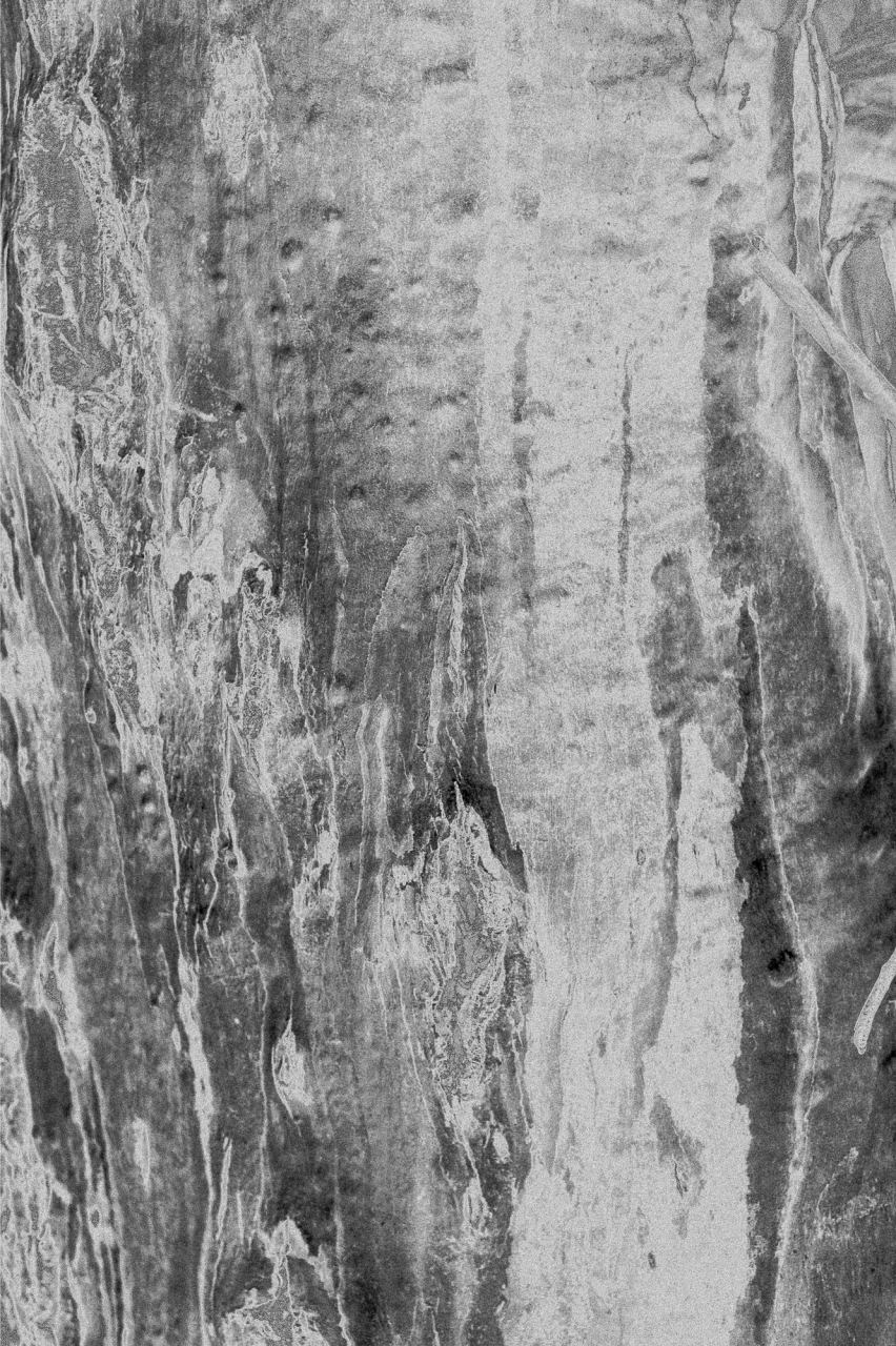 Roots — Laetitia Farellacci, fotografia 13 di 15