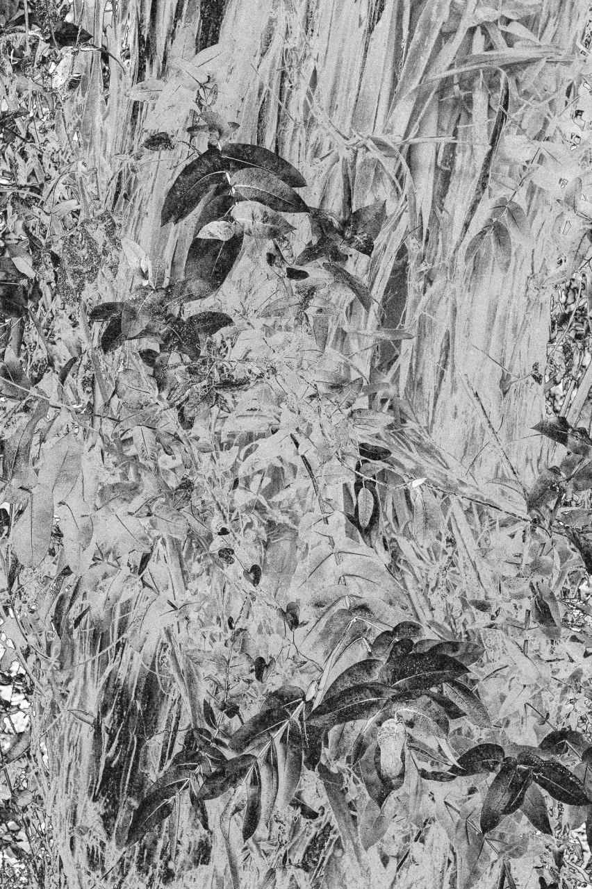 Roots — Laetitia Farellacci, fotografia 14 di 15